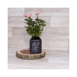 NähPark Stickmuster Art Deco Roses 10 NähPark Stickmuster Art Deco Roses -Nahmaschine Shop naehpark stickmuster art deco rosen vase